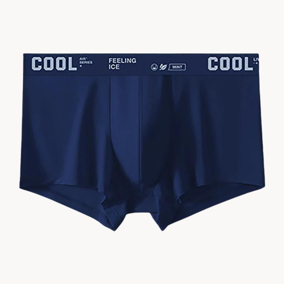 Premium Cool Boxer Briefs